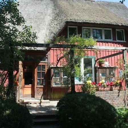 Ferienwohnung "Achtern Diek" بريرو المظهر الخارجي الصورة